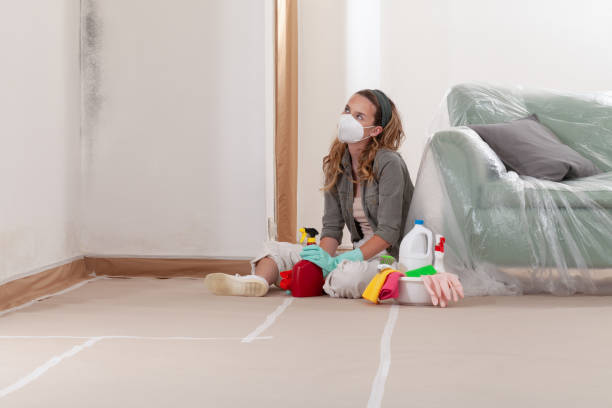 Reliable Mold Inspection And Testing contractor in North Richland Hills, TX by Car Mold Remediation